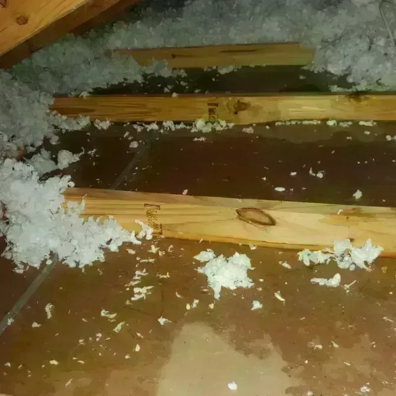 Attic Water Damage in Starke, FL