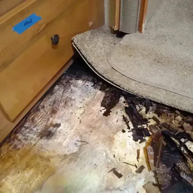 Best Wood Floor Water Damage Service in Starke, FL